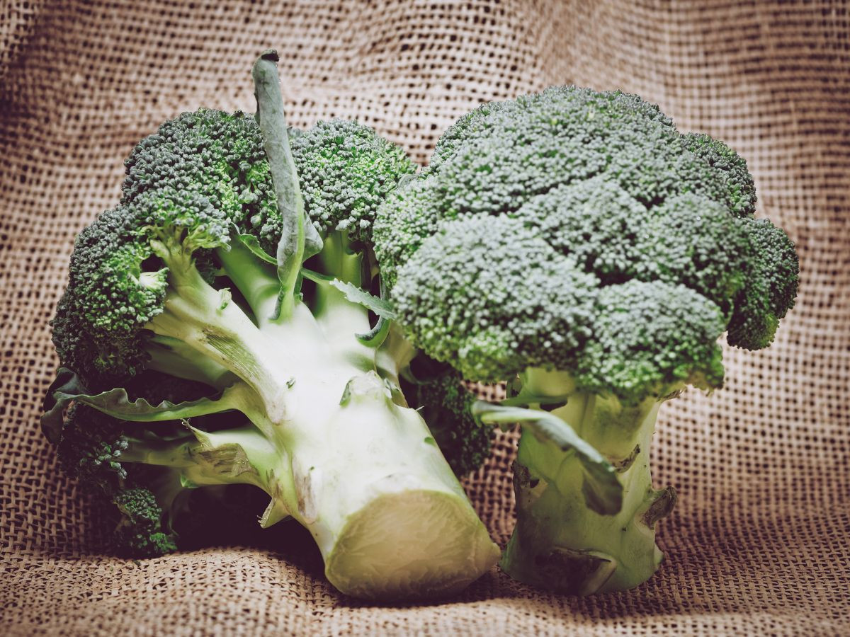 Raw Broccoli