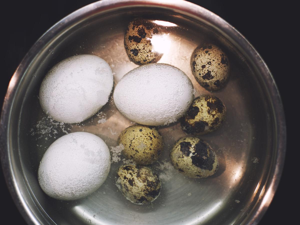 Chicken Egg and Quail egg in pot of water