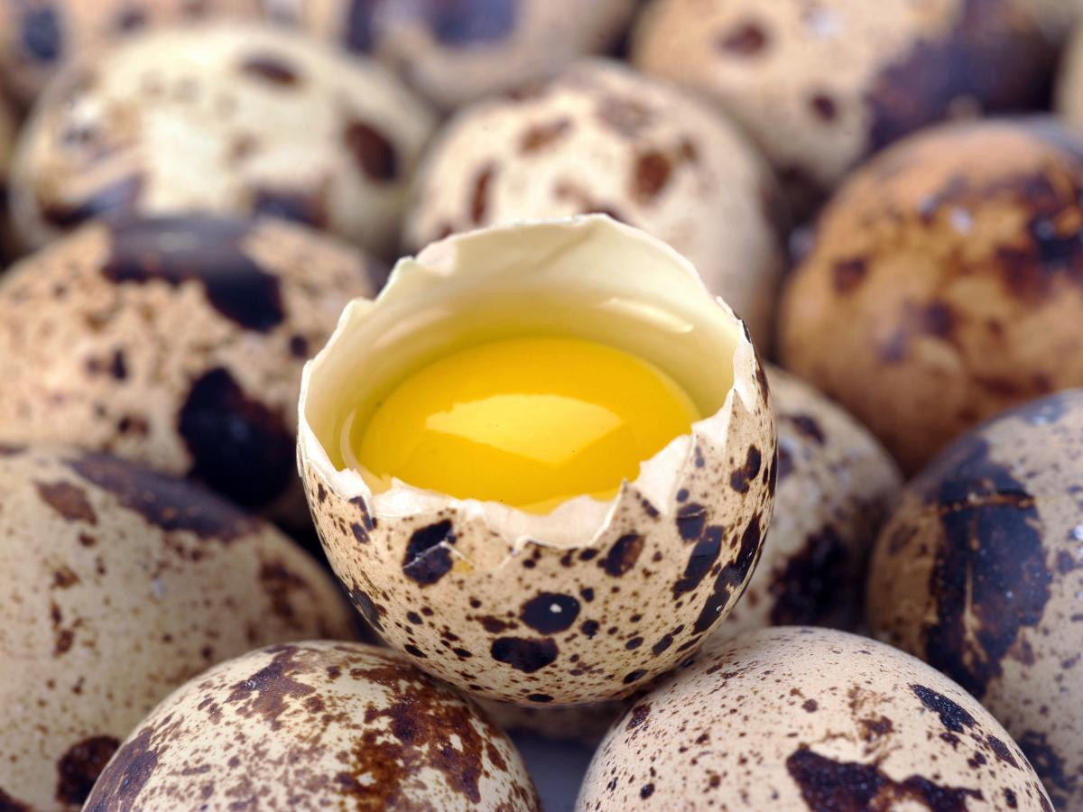 cracked quail egg