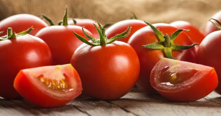 Exploring Incredible Tomato Origins: Where Do Tomatoes Come From?