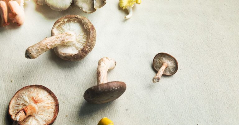 Why Am I Craving Mushrooms? 5 Best Reasons For Mushroom Cravings