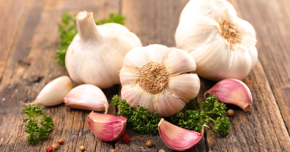 craving garlic