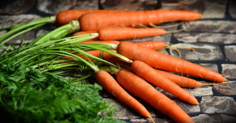 Why Am I Craving Carrots: 8 Sweet Signals Behind Carrot Cravings