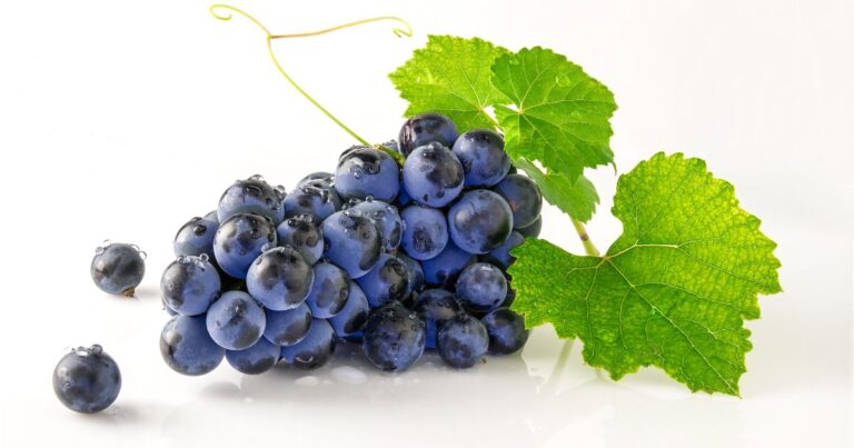 Why Am I Craving Grapes: 7 Reasons You Can’t Stop Eating Grapes