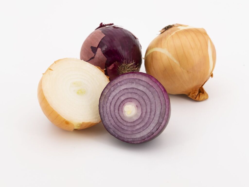 Red onion, Spanish onion