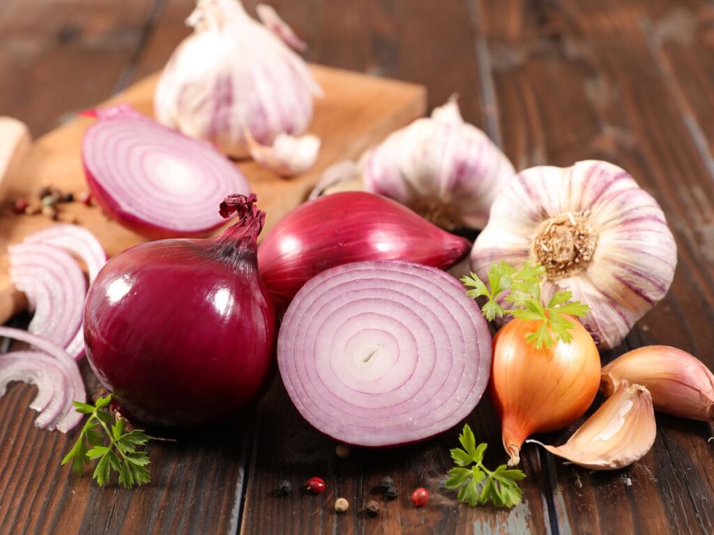 Onion Variety