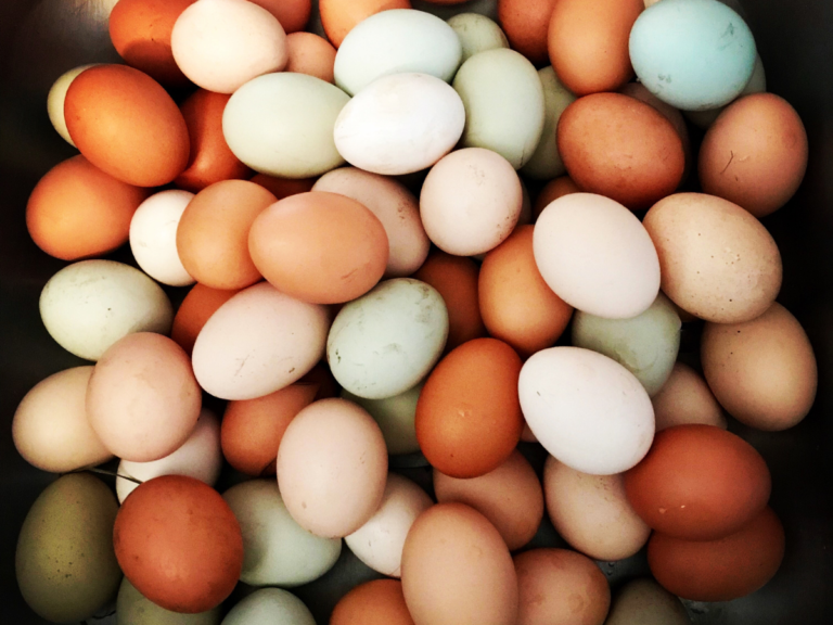 Why Am I Craving Eggs? Cracking Open 15 Top Reasons